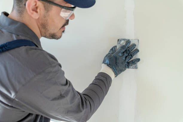 Best Basement Mold Removal  in East Massapequa, NY